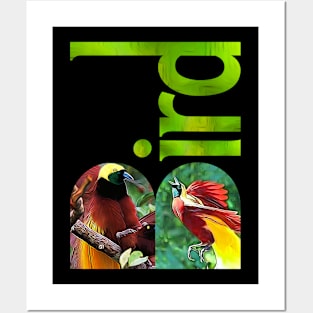 BIRD - 19 Posters and Art